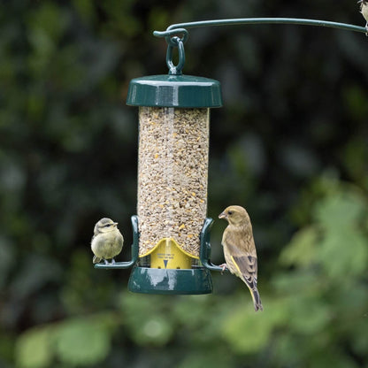 BigEasy™ Seed Feeder + 6kg Farmer Phil's British Mix