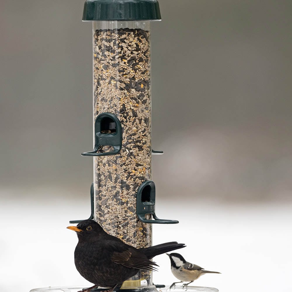BigEasy™ Seed Feeder