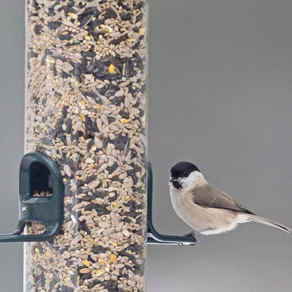 BigEasy™ Seed Feeder