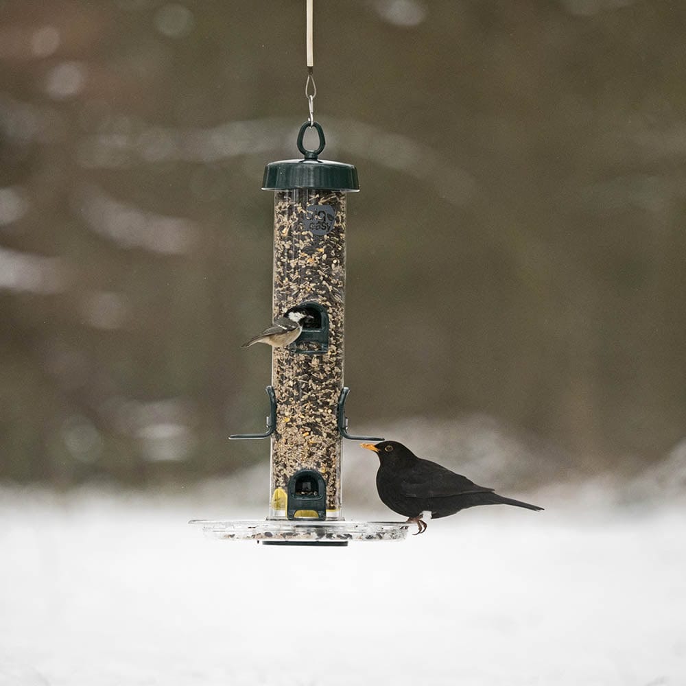 BigEasy™ Seed Feeder