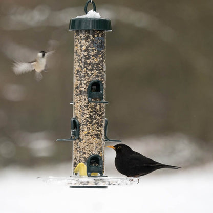 BigEasy™ Seed Feeder