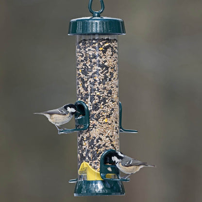 BigEasy™ Seed Feeder