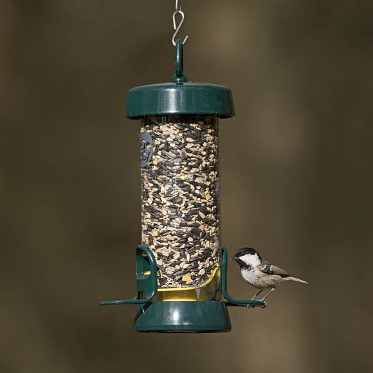 BigEasy™ Seed Feeder + 6kg Farmer Phil's British Mix