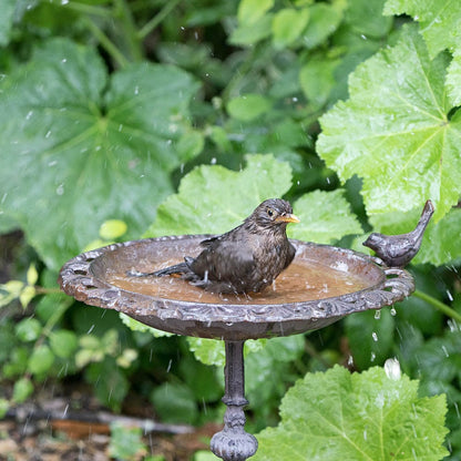Old Iron Classic Birdbath