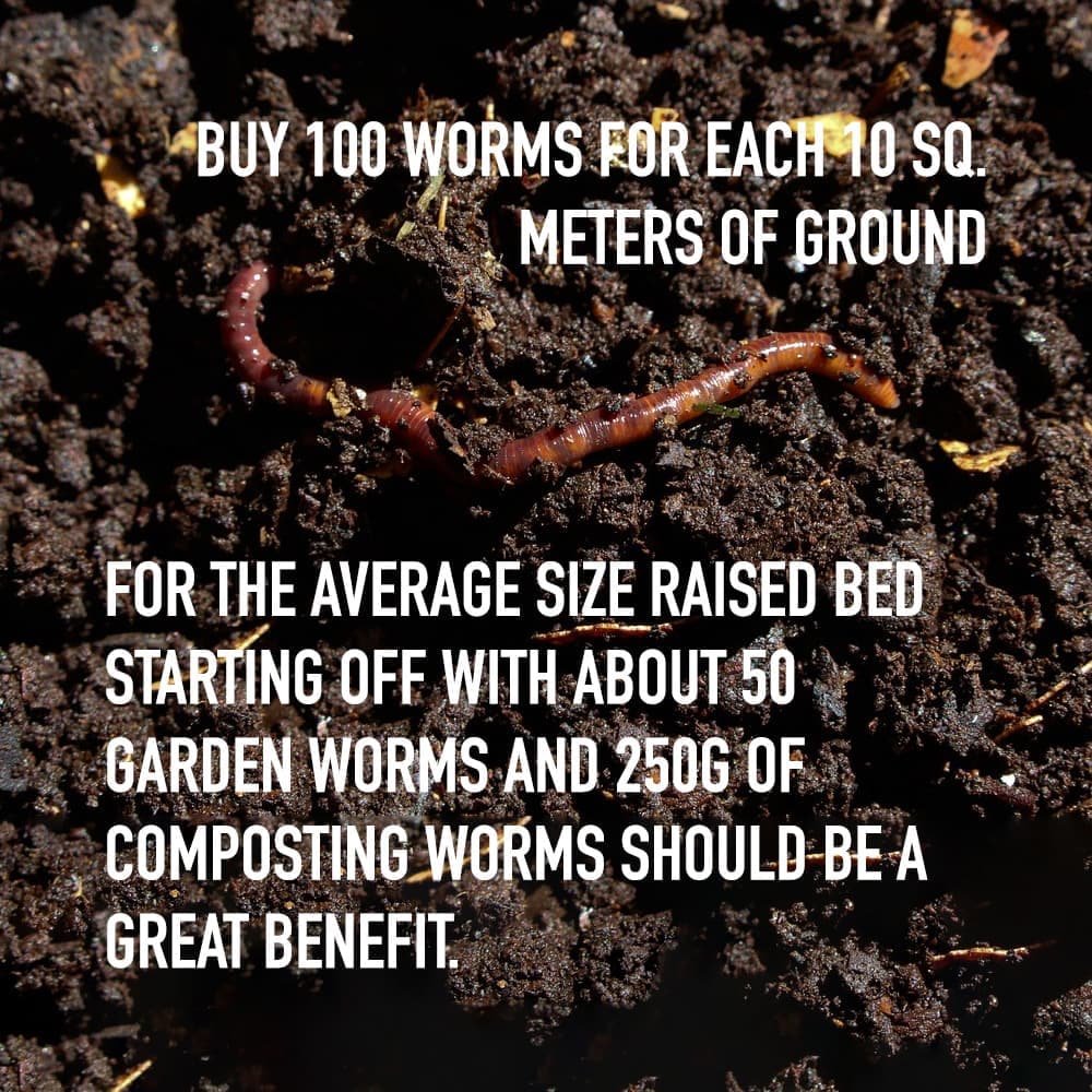 Composting Garden Worms