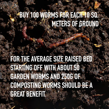Composting Garden Worms