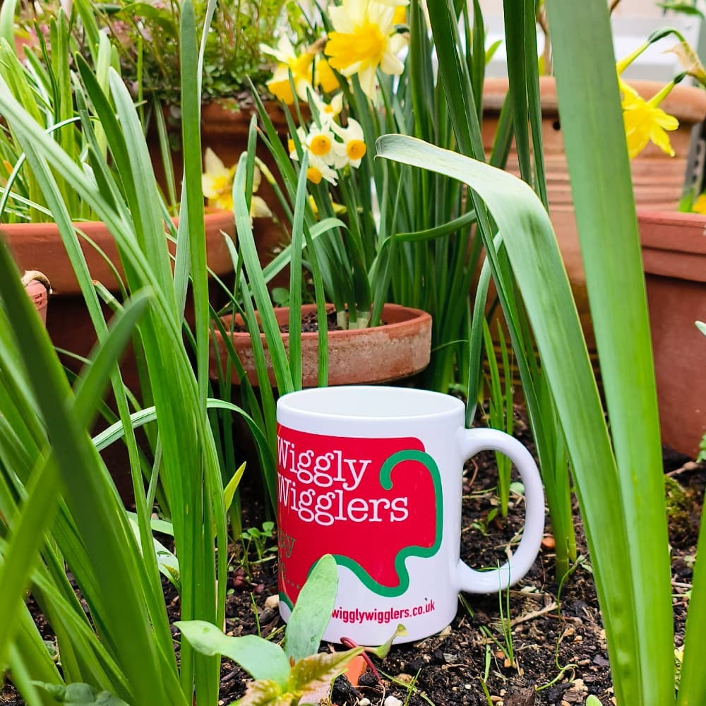 Wiggly Wigglers Mug