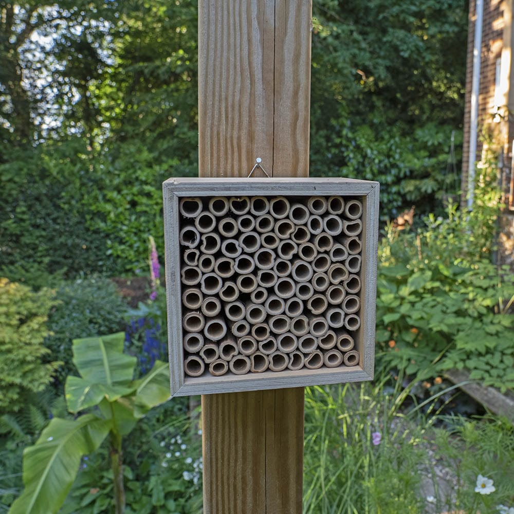 Jacobi Jayne Nooks & Crannies Insect Block