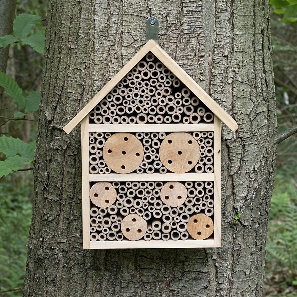 Jacobi Jayne Nooks & Crannies Large Insect / Bug House