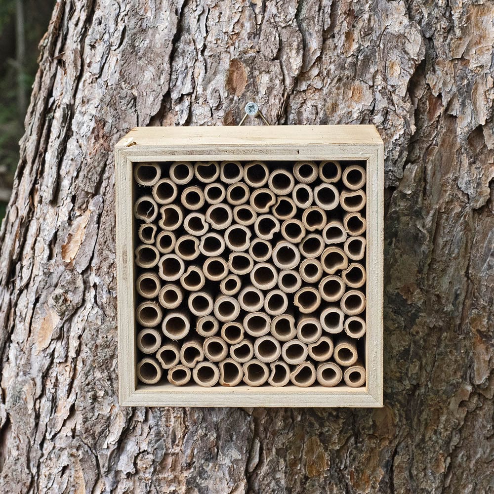 Jacobi Jayne Nooks & Crannies Insect Block