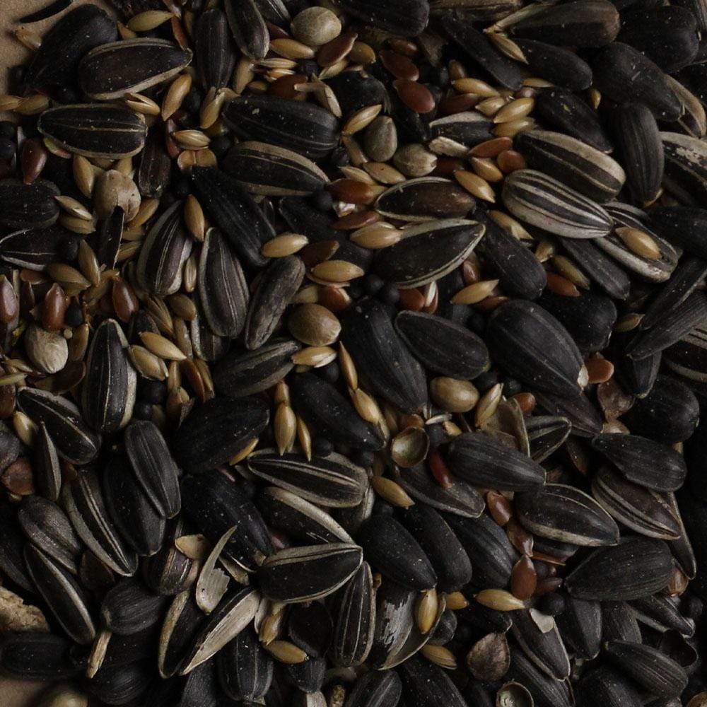 Birdfood LBF Wiggly Seed 12.55kg