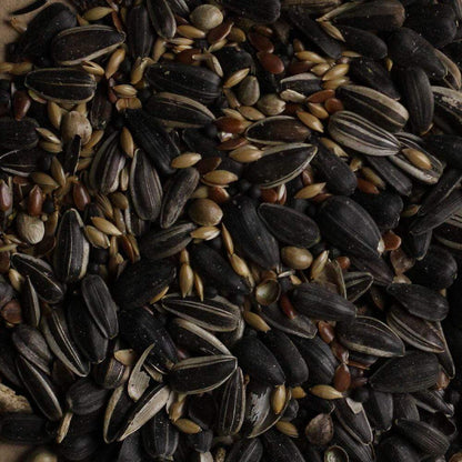 Birdfood LBF Wiggly Seed 12.55kg