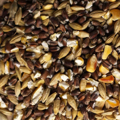 Birdfood LBF Wiggly Mixed Corn