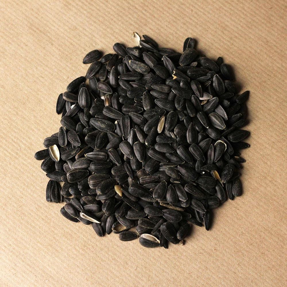 Birdfood LBF Black Sunflower Seed 3-Month Gift Subscription