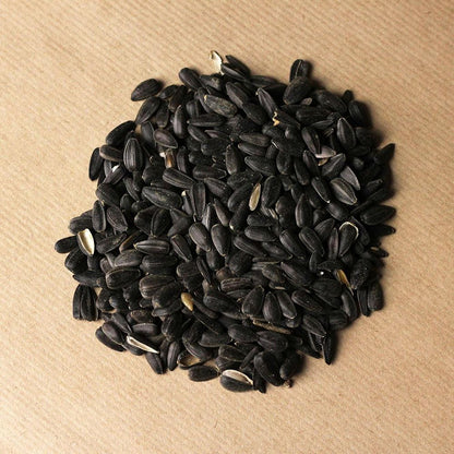 Birdfood LBF Black Sunflower Seed 3-Month Gift Subscription