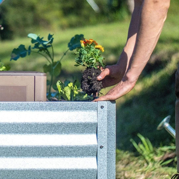 Subpod Grow Garden Bed Wiggly Wigglers