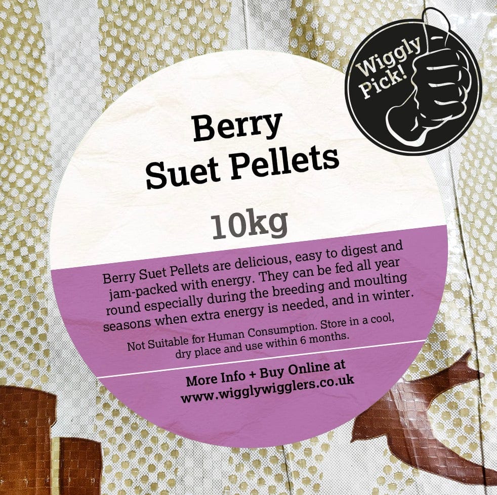 Birdfood LBF Subscribe & Save Berry Suet Pellets