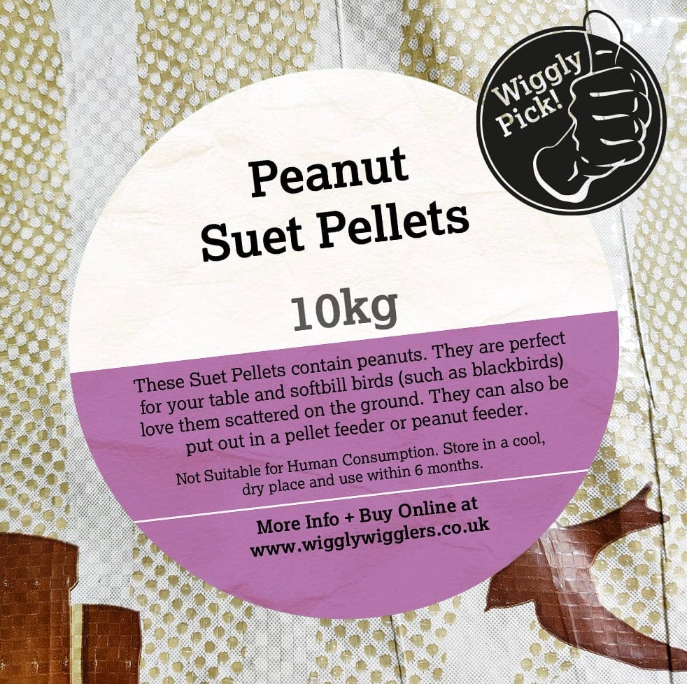 Birdfood LBF Peanut Suet Pellets