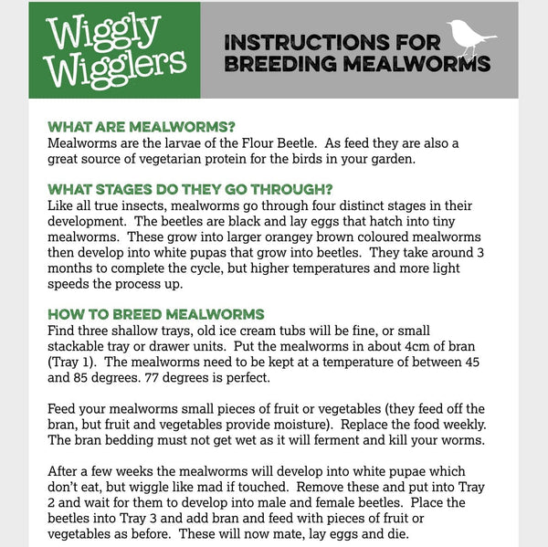 Mealworm Breeding Kit Wiggly Wigglers