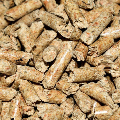 Composting LBF Worm Treat