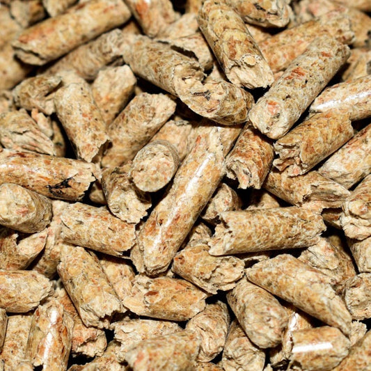 Composting LBF Worm Treat