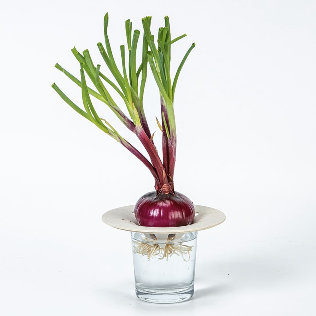 Regrow