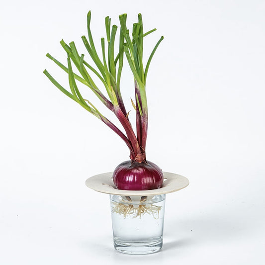 Regrow