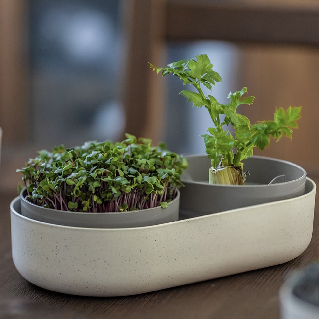 Microgreens + Regrow