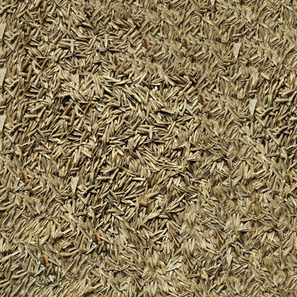 Lower Blakemere Farm Grass Seed
