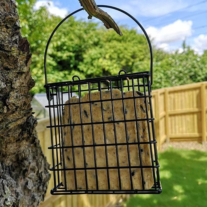 Suet Cake Cage Feeder
