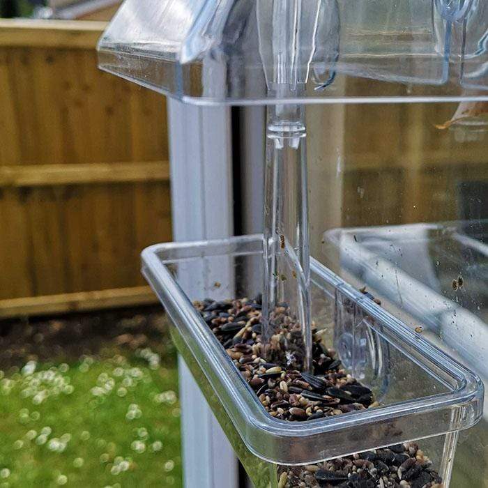 Window Feeder Close Up