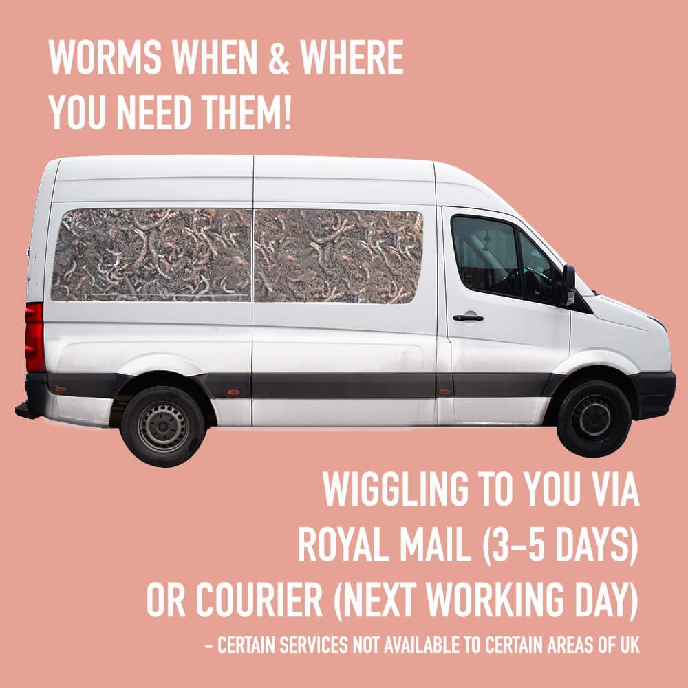 Composting Garden Worms