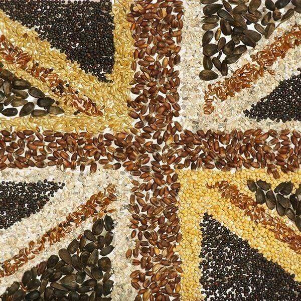 Birdfood LBF Farmer Phil's DELUXE British Mix