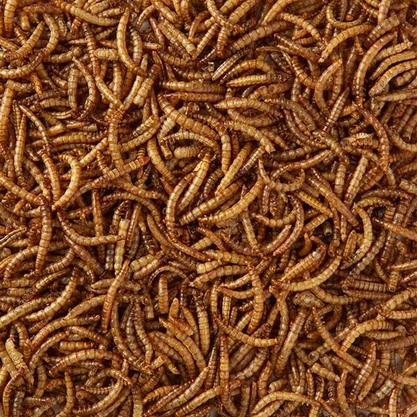 Birdfood Dried Mealworms 1kg