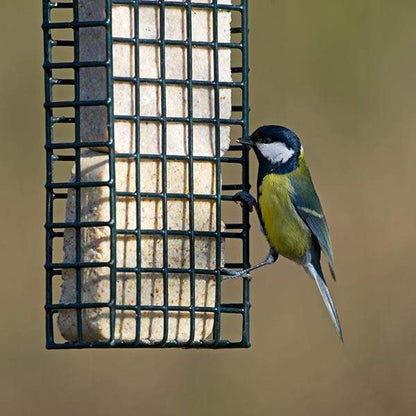 Double Suet Block & Cake Feeder + 2 Suet Cakes