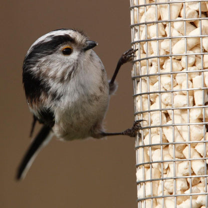 Birdfood LBF Mealworm Suet Pellets