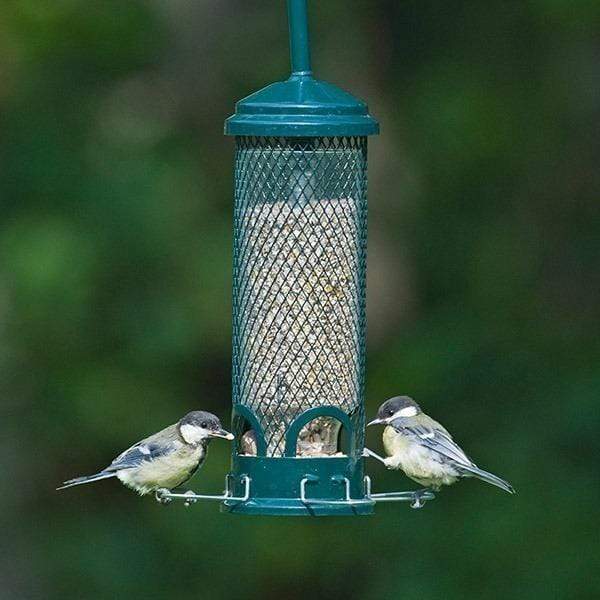 Birdcare Squirrel Buster