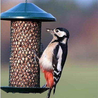 Birdfood LBF Premium Peanuts