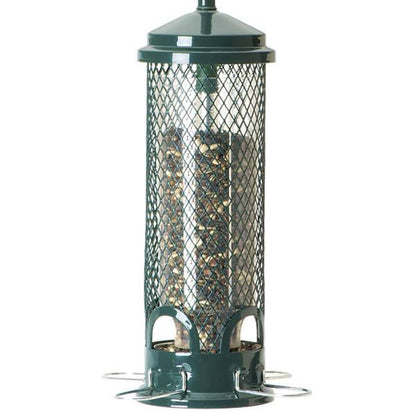 Birdcare Squirrel Buster