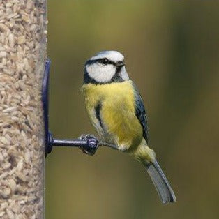 Birdfood LBF Sunflower Hearts