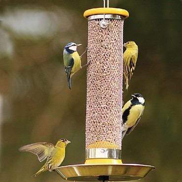 Birdfood LBF Subscribe & Save Sunflower Hearts