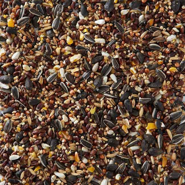 Birdfood LBF Subscribe and Save Wiggly Seed